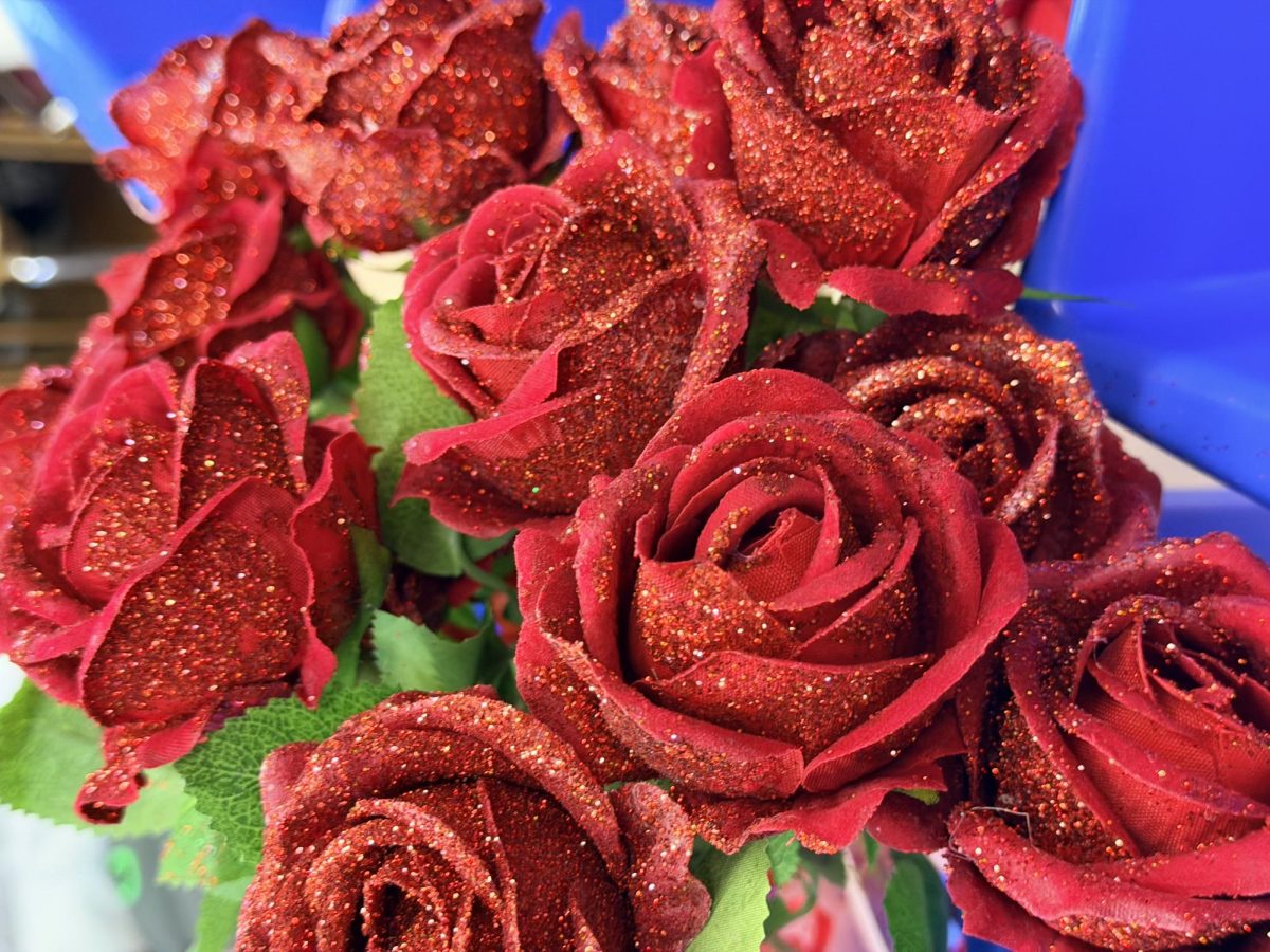 How Sweet Can Your Valentine’s Day Be?
